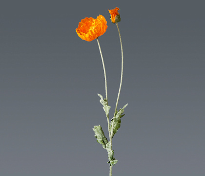 Цветок искусственный декоративный ''Мак исландский" 108 см, 1 шт., оранжевый - фото1