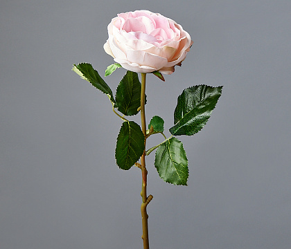 Цветок искусственный декоративный ''Роза пионовидная" 51*9 см, 1 шт., нежно-розовый - фото1