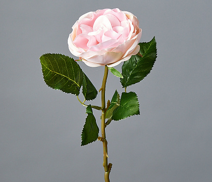 Цветок искусственный декоративный ''Роза пионовидная" 51*9 см, 1 шт., светло-розовый - фото1