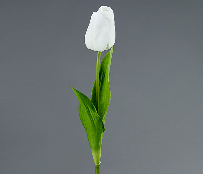 Цветок искусственный декоративный ''Тюльпан" 51*6 см, 1 шт., белый - фото1 Цветок искусственный декоративный ''Тюльпан" 51*6 см, 1 шт., белый - фото1