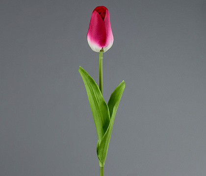 Цветок искусственный декоративный ''Тюльпан" 51*6 см, 1 шт., малиново-красный - фото1 Цветок искусственный декоративный ''Тюльпан" 51*6 см, 1 шт., малиново-красный - фото1