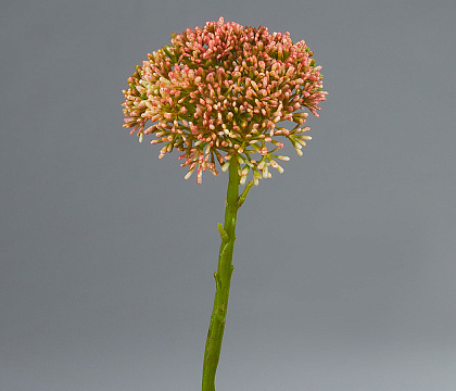 Цветок искусственный декоративный ''Хилотелефиум" 30*9 см, 1 шт., голубой - фото1 Цветок искусственный декоративный ''Хилотелефиум" 30*9 см, 1 шт., голубой - фото1