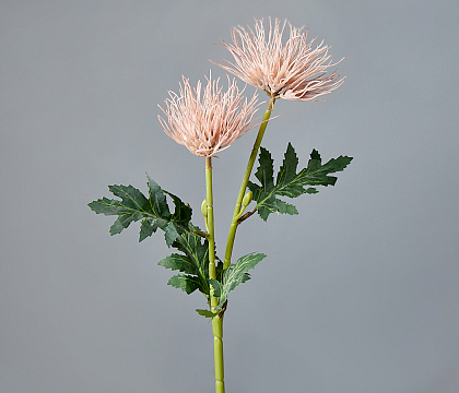 Цветок искусственный декоративный ''Хризантема" 52*14 см, 1 шт., светло-розовый - фото1 Цветок искусственный декоративный ''Хризантема" 52*14 см, 1 шт., светло-розовый - фото1