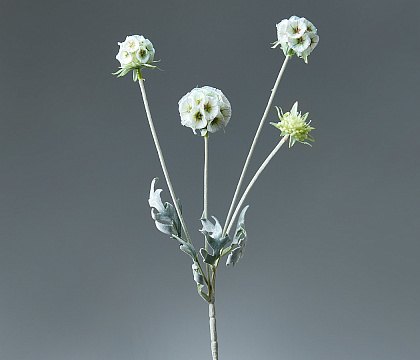 Цветок искусственный декоративный "Скабиоза" 60 см, 1 шт., белый - фото1