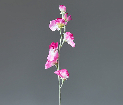 Цветок искусственный декоративный "Чина душистая" 64 см, 1 шт., фуксия - фото1